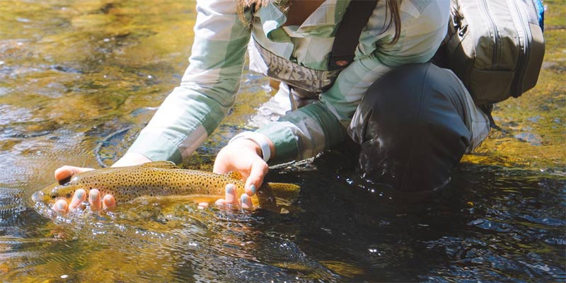 Simms Wathosen für warmes Wetter